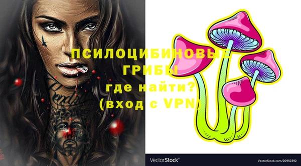 герыч Осинники