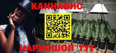 стаф Нальчик