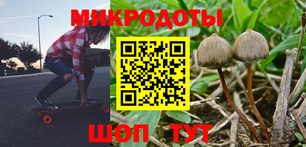 Галлюциногенные грибы Psilocybine cubensis  купить наркотик  Сызрань  Вход с VPN 